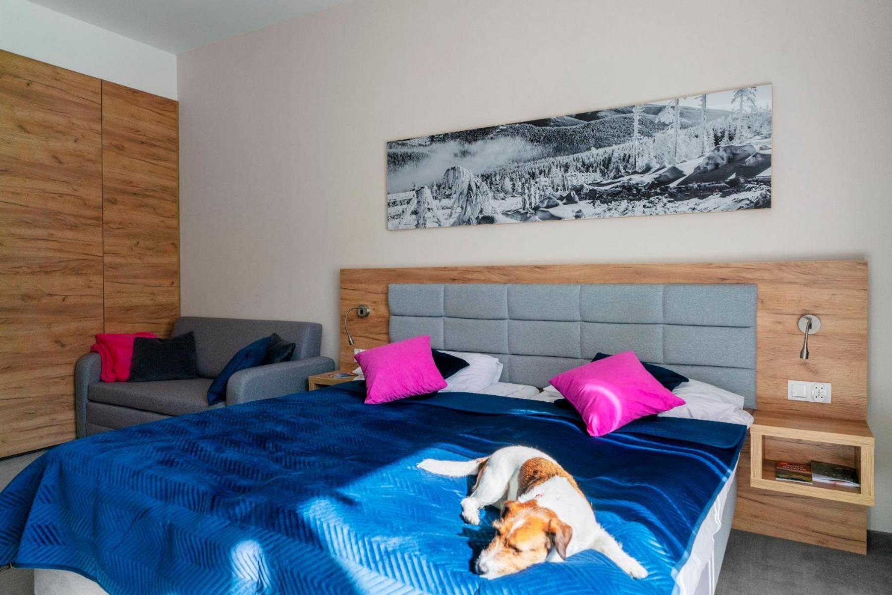 Apartament Folgaria - Aparthotel Panorama Czarna Gora Sienna  Extérieur photo